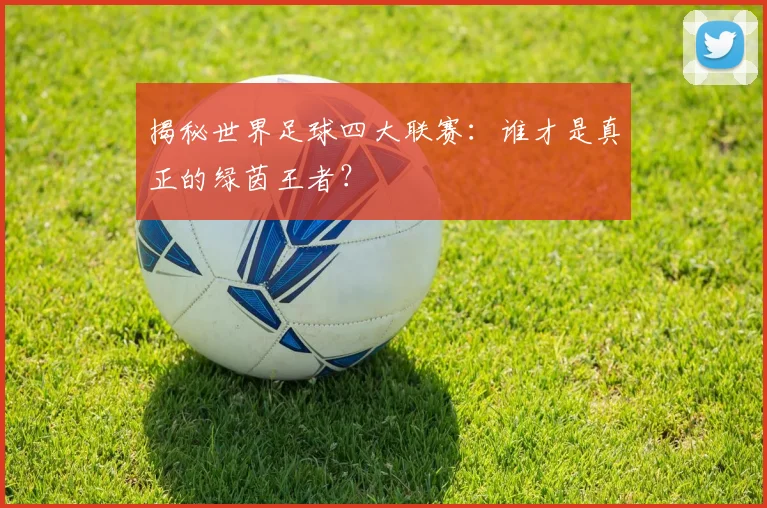 揭秘世界足球四大联赛：谁才是真正的绿茵王者？